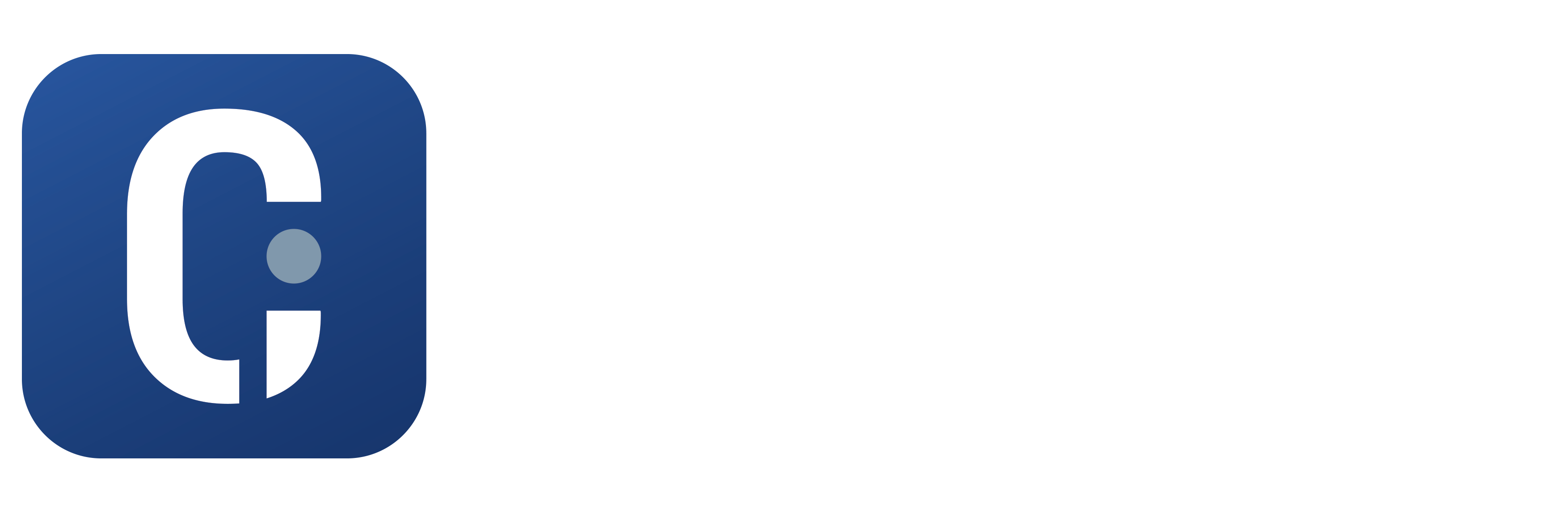 Consulenza Informatica